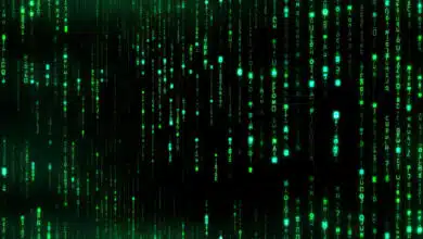 Matrix