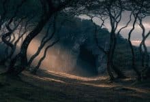 Paisagem cinematográfica inspirada em Dark: floresta alemã sombria ao entardecer, com a entrada de uma caverna ao fundo e atmosfera misteriosa.