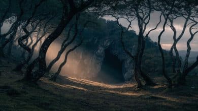 Paisagem cinematográfica inspirada em Dark: floresta alemã sombria ao entardecer, com a entrada de uma caverna ao fundo e atmosfera misteriosa.